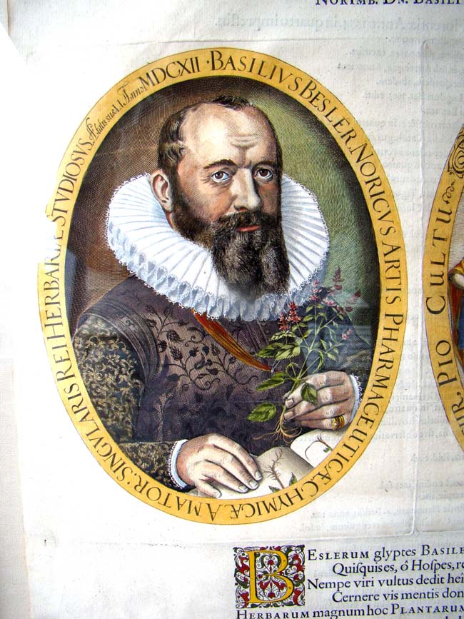 A RARE Frontispiece from Basilius Besler's “Hortus Eystettensis“ published in 1640 — image 2